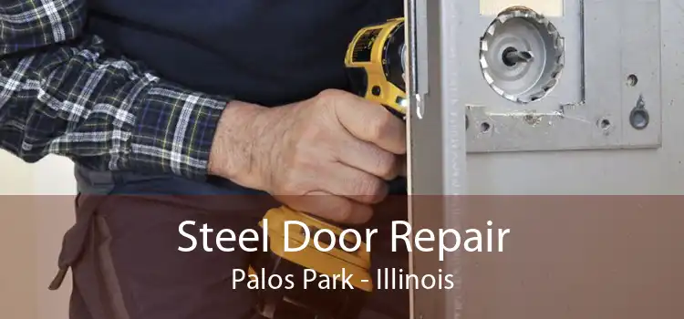 Steel Door Repair Palos Park - Illinois