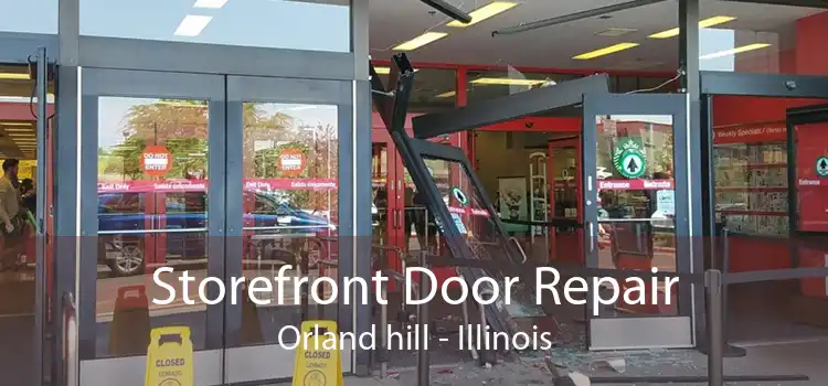 Storefront Door Repair Orland hill - Illinois