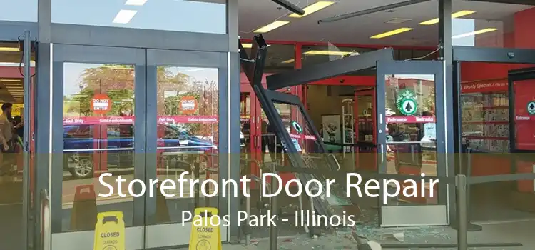 Storefront Door Repair Palos Park - Illinois