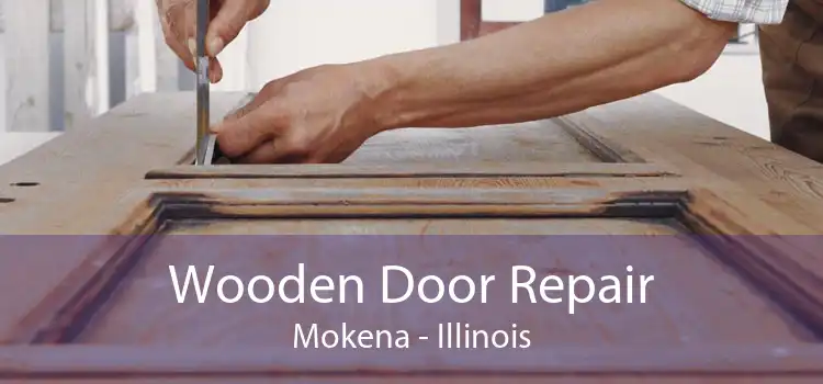 Wooden Door Repair Mokena - Illinois