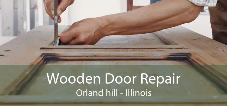 Wooden Door Repair Orland hill - Illinois